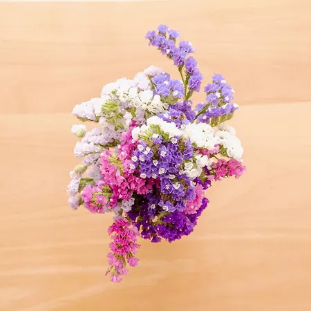 Skopje City Stay Lägenhet