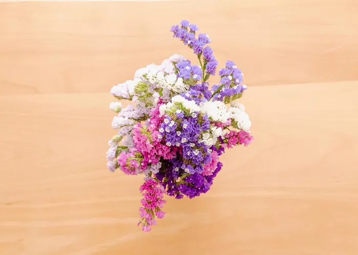 Skopje City Stay Apartament